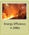 Energy Efficiency in SMEs